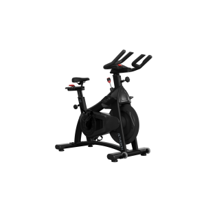 SCHWINN AETHERION BIKE (S)